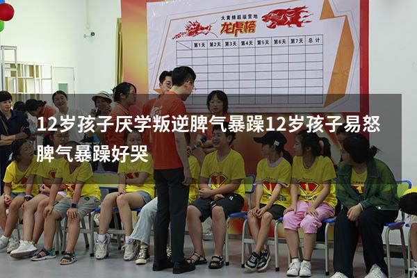 12岁孩子厌学 叛逆 脾气暴躁（12岁孩子易怒脾气暴躁好哭）